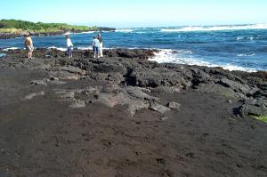 Black sand beach image