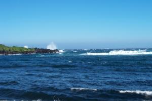 Ocean scene near Kona image