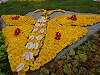 Flower display shaped like a butterfly