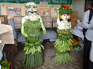 Vegetable couple image