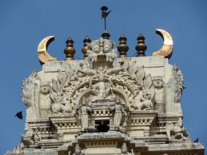 Sri Aprameya Swamy Temple details image