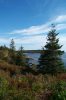 Bar Harbor Maine