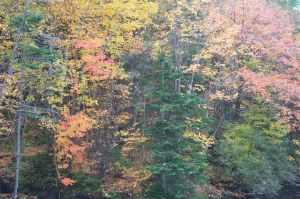 Corner Brook Newfoundland image