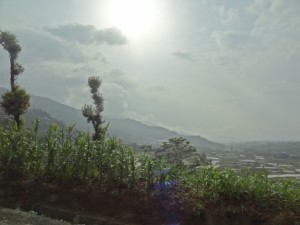 Looking out the bus window image