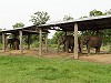 Elephant barn