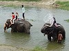 Getting sprayed by an elephant