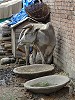 Cow with stone bowls