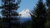 Mount Hood through the trees