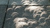 Viewing the solar eclipse