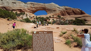 Wilson Arch image