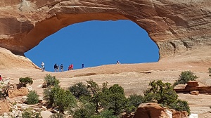 Wilson Arch image